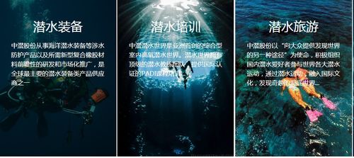 潛水公司加速趕頂，終須一別 從溫州幫現象看國內旅游業務轉型